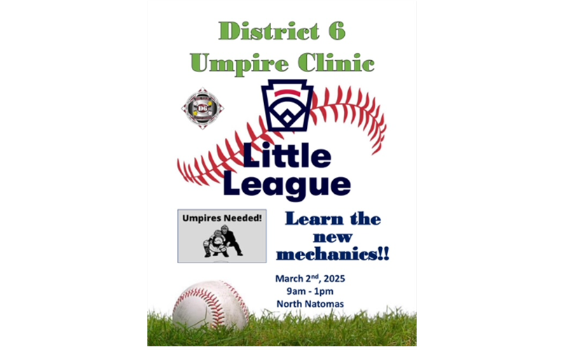 D6 Umpire Clinic